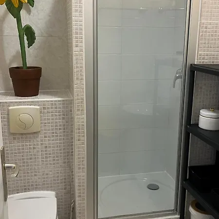 Le Plein Soleil 아파트 아작시오